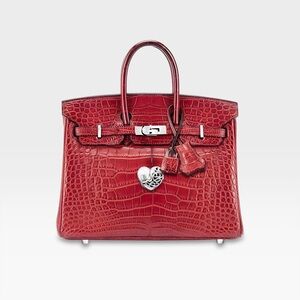 Hermès & Chrome Hearts - Birkin 25 - Rouge H Matte Alligator & Heart